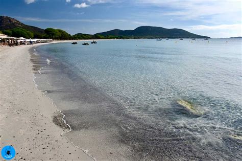 La Plage De Palombaggia En Corse Porto Vecchio