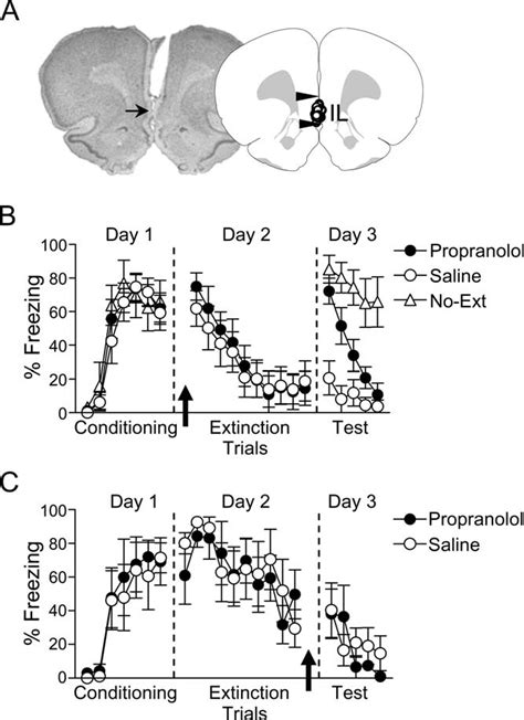 Blockade Of Noradrenergic Receptors In IL Impairs Extinction Memory