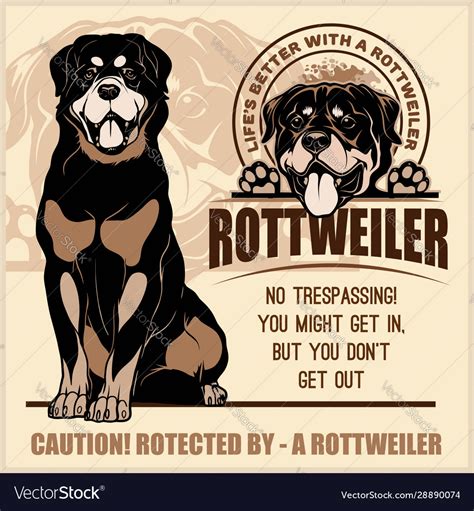 Rottweiler Set For T Shirt Logo Royalty Free Vector Image