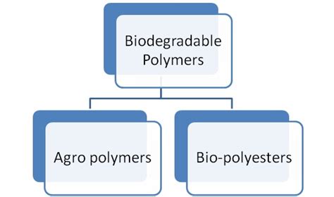 What are Biodegradable Polymers