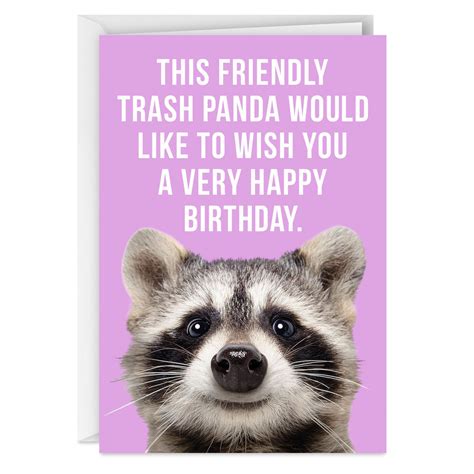 Friendly Trash Panda Funny Birthday Card Greeting Cards Hallmark