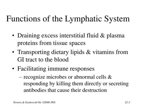 Ppt Chapter 22 The Lymphatic System Powerpoint Presentation Free Download Id1226936