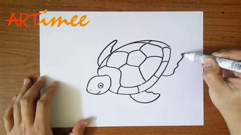 How To Draw A Sea Turtle Youtube