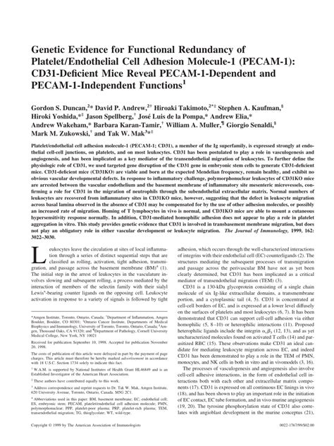 PDF Genetic Evidence For Functional Redundancy Of Platelet