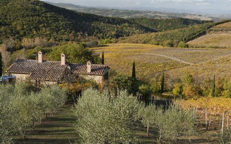 La Tenuta Casanuova Delle Cerbaie Brunello Di Montalcino Farmland