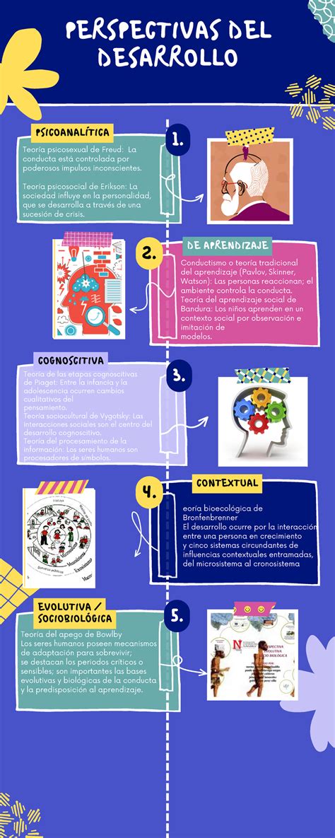 Infografia filogenia PERSPECTIVAS DEL DESARROLLO 1 PSICOANALÍTICA