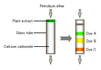 Hplc Instrument Diagram