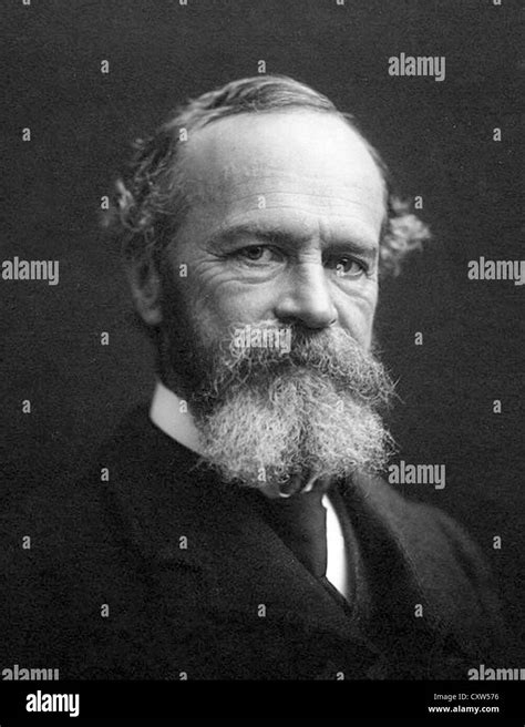 William James Hi Res Stock Photography And Images Alamy