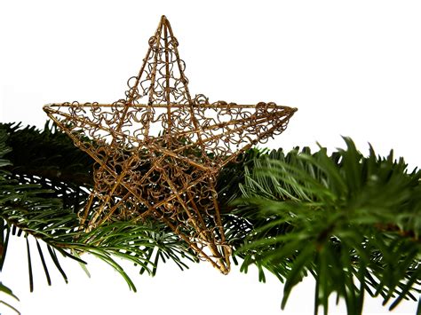 Free Images Branch Star Fir Lighting Decor Christmas Tree Twig Deco Conifer Advent