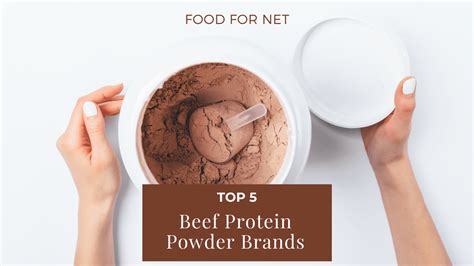 Best Beef Protein Powder Brands Food For Net