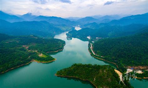 促进人与自然和谐共生！广东省森林旅游发展规划印发生态建设重点