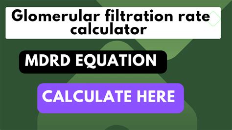 GFR calculator (glomerular filtration rate calculator) mdrd equation ...