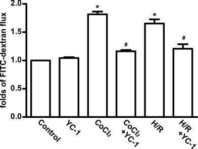 Inhibition By Yc On Cocl Or H R Induced Increase Of Paracellular