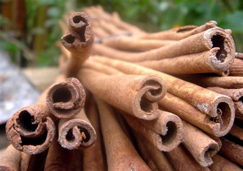 Cinnamon Savita Herb