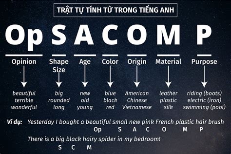 Cách Chia Tính Từ Trong Tiếng Anh Hướng Dẫn Chi Tiết và Dễ Hiểu