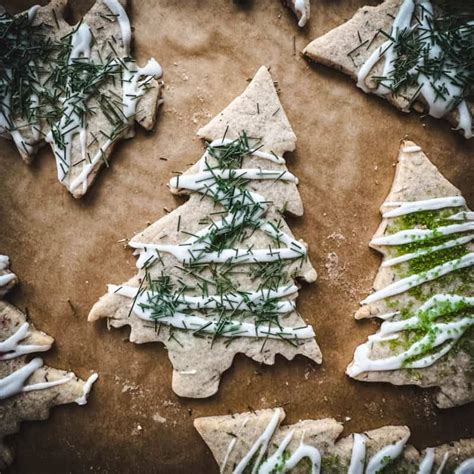 30 Pine Needle Recipes Drinks Desserts Syrups Balms More