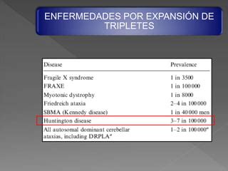 Enfermedad De Huntington Y La Demencia Vascular Ppt