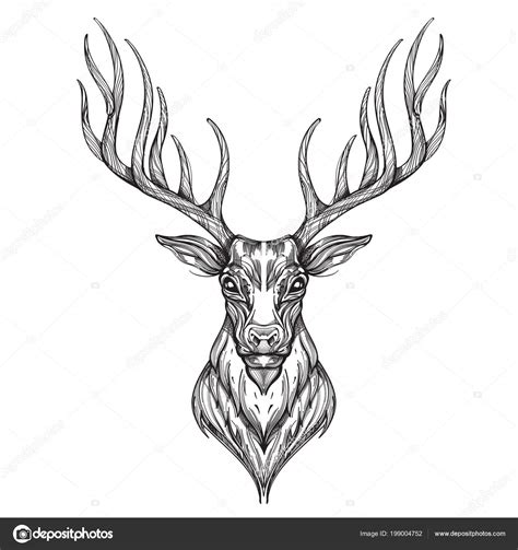 Image Vectorielle T Te Cerf Sur Fond Blanc Par Filkusto