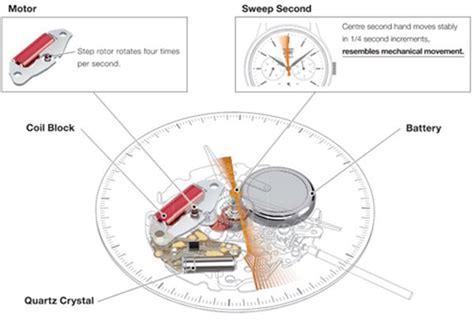 Automatic Watch Movement Diagram