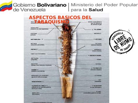 PPT Todo Sobre El Tabaco DOKUMEN TIPS