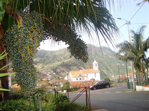 Casa Do Povo De S O Roque Do Faial Olhares