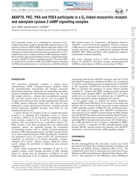 PDF AKAP79 PKC PKA And PDE4 Participate In A G Q Linked Muscarinic