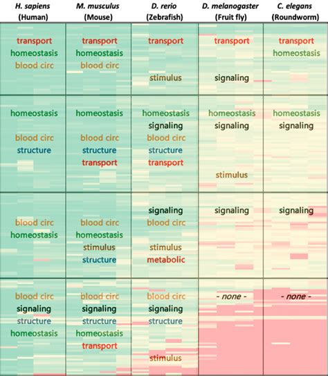 Demonstrates A Summary Of Functional Analysis Results Overlaid On