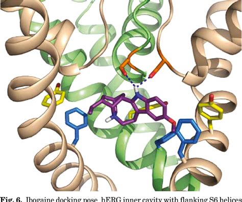 Figure From Mechanism Of Herg Channel Block By The Psychoactive