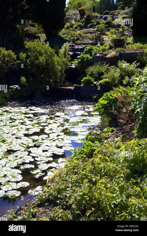 St andrews botanic garden hi-res stock photography and images - Alamy