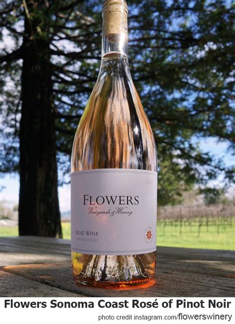 Flowers Rose Of Pinot Noir Sonoma Coast Calihiwines