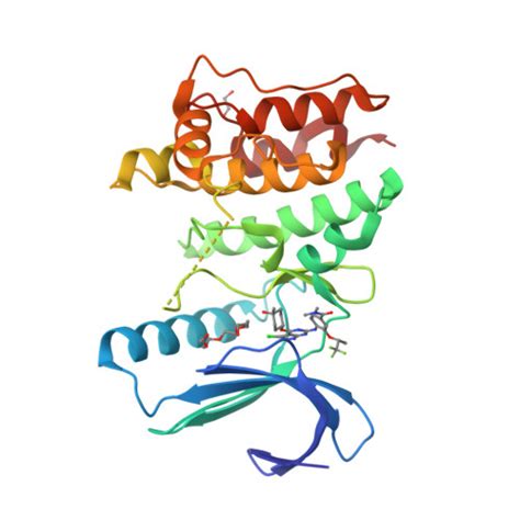 Rcsb Pdb N O Crystal Structure Of The Human Ttk In Complex With An