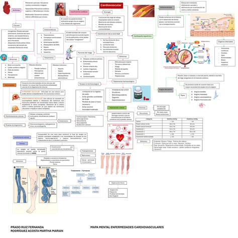 Mapa Mental Sist Cardiovascular PRADO RUIZ FERNANDA MAPA MENTAL