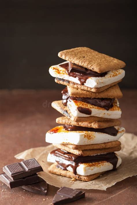 Homemade Marshmallow S`mores With Chocolate On Crackers Stock Image Image Of Snack Fluffy