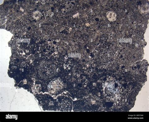 Micrograph Of Eet 900402 Meteorite Under Plane Polarized Light At 1