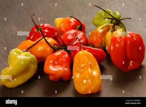 Hot Spicy Habanero Peppers Hi Res Stock Photography And Images Alamy
