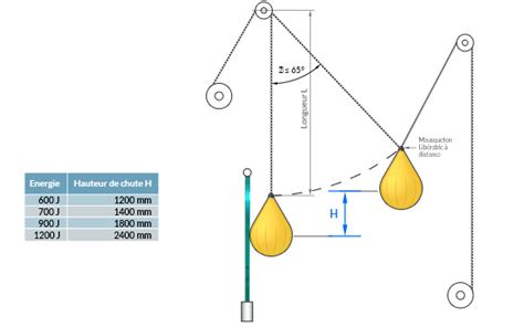 Qu Est Ce Que Le Test De La Belle Mere Garde Corps