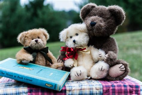 Toys Teddy Bear Book Three 3 Hd Wallpaper Rare Gallery