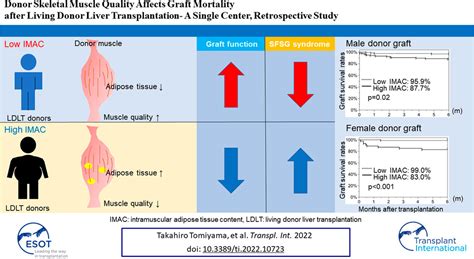 Frontiers Publishing Partnerships Donor Skeletal Muscle Quality