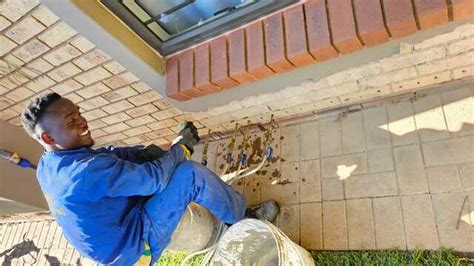 Dampout Damp Proofing Experts In Johannesburg Gauteng