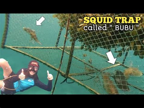 EASY WAY TO CATCH BIG SQUID USING SQUID TRAP Or Called BUBU YouTube