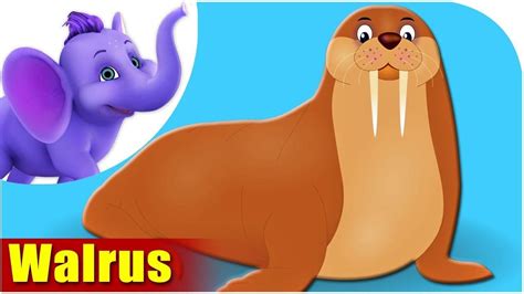 Animal Songs For Kids Walrus Song Youtube Kids Nursery Songs