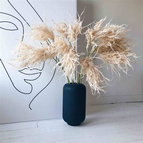 Fluffy Black Pampas Natural Dried Pampas Uk Kiss My Pampas