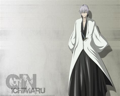 Gin Bleach Anime Wallpaper 6905829 Fanpop