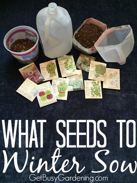 How To Choose The Best Seeds For Winter Sowing Winter Vegetables