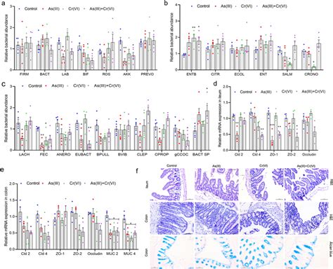 Effect Of As Iii And Cr Vi Exposure On Gut Health Ac Relative