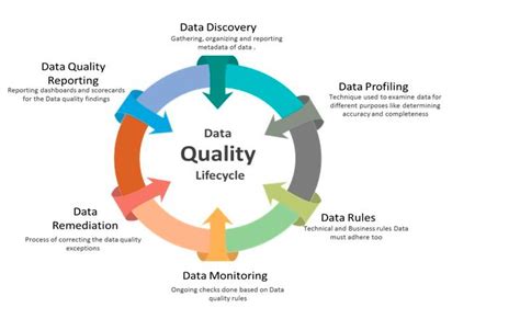 Data Quality Management What It Is And How To Do It