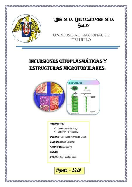 Inclusiones Citoplasm Ticas Y Estructuras Microtubulares Abc Udocz