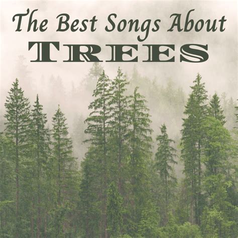 100 Best Songs About Trees - Spinditty