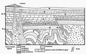 Interpretación de cortes geológicos BIOLOCUS