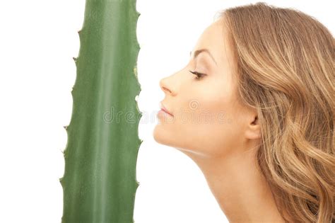 Lovely Woman With Aloe Vera Stock Photo Image Of Antiaging Fresh